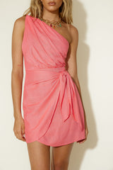 Back To December Dress Pink